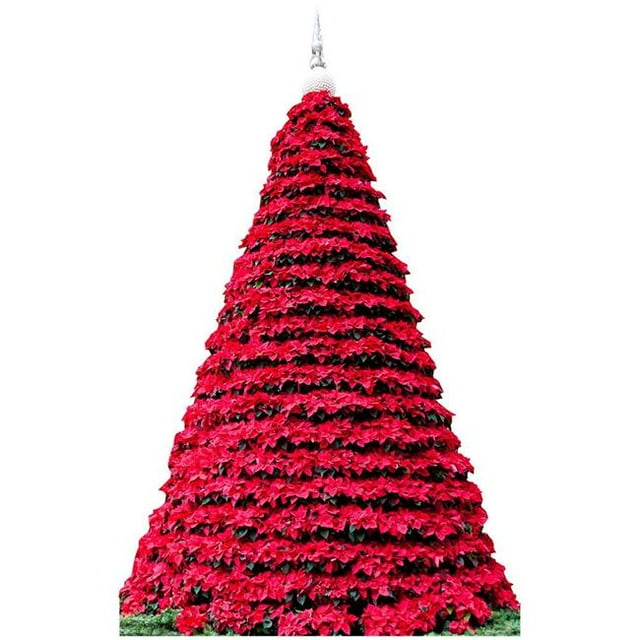 Star Cutouts SC2025 Poinsettia Arbre de Noël Taille Réelle Découpe en Carton