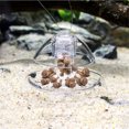 thumbnail image 1 of Plastic Fish Tank Aquarium Snai Catcher Snail Trap to Catch the Snail, 1 of 6