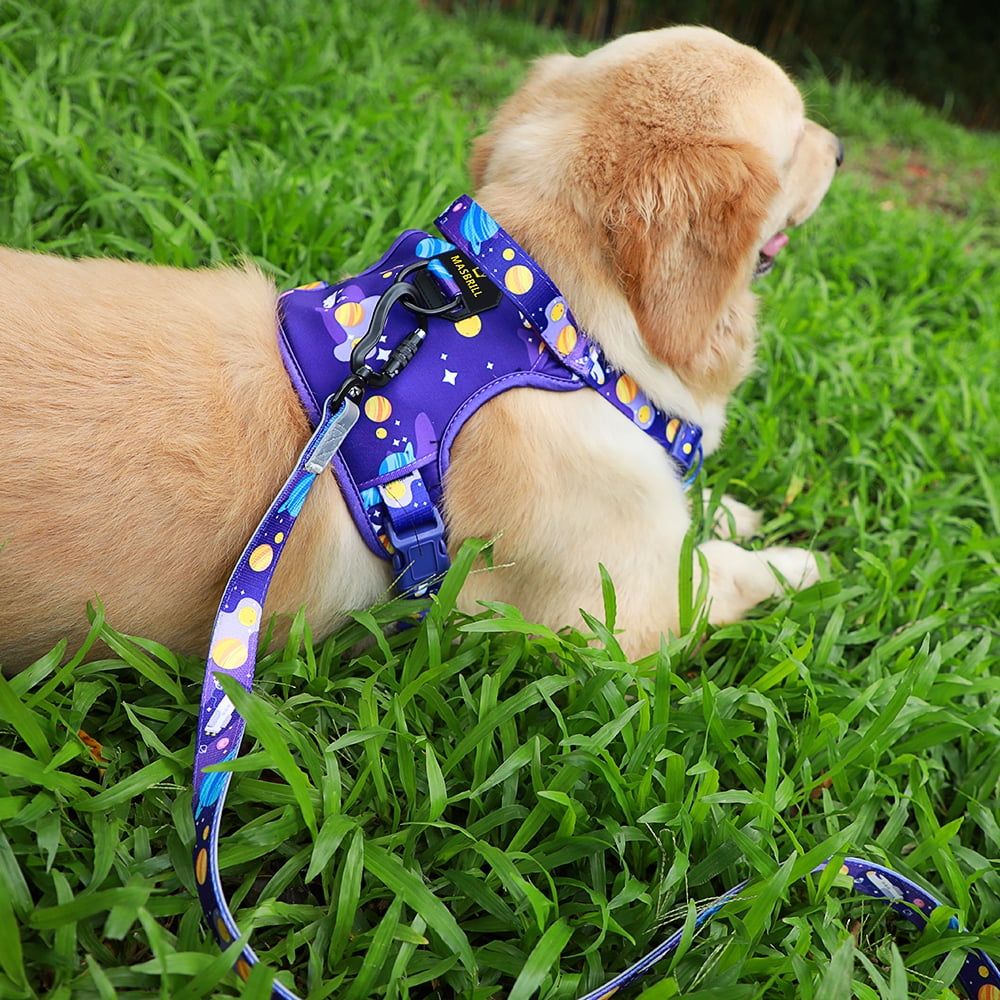MASBRILL No Pull Dog Harness, Reflective Dog Vest with Handle No Choke Soft Padded Dog Harness for Medium Large Dogs