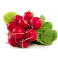 thumbnail image 4 of GSDWIUEW Seeds French Radish Red Ball 22 Days Heiroom Vegetable for Planting, 4 of 8