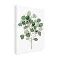 thumbnail image 2 of Melissa Wang 'Windy Eucalyptus II' Canvas Art, 2 of 3