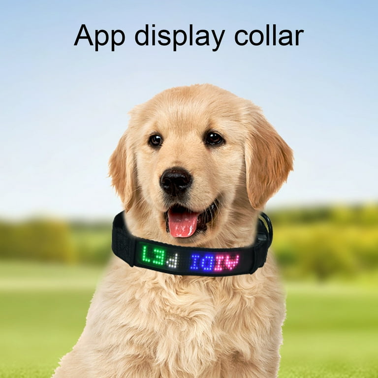 Diy Soft Dog Cone Guaranteed Authentic upcycle.or.jp