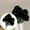 Black, variant on Artificial Flowers for christmas 7 Head Artificial Silk Fowers Carnation Bunch Wedding Home Outdoor Size 41cm Avilable in 9 Colours
