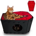 thumbnail image 1 of Cama gótica con forma de ataúd para gatos o mascotas de interior, color negro, 1 of 9