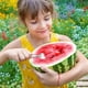 thumbnail image 4 of ¡Aprovecha la Oferta!, Divisor de sandía Divisor de sandía para cortar Divisor de frutas Divisor multifuncional Cortador de sandía en cubitos Akmoler, 4 of 9