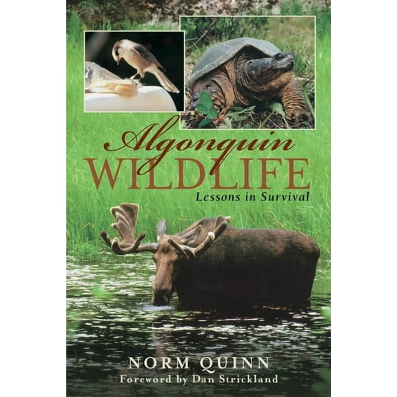 Algonquin Wildlife: Lessons in Survival, (Paperback)