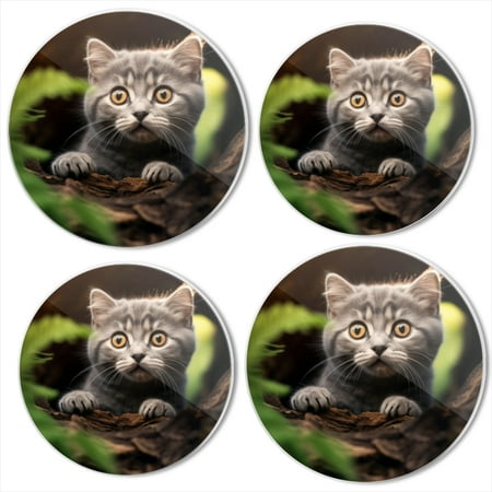 

Bahomeck Electric Stove Burner Covers Set Of 4 Cute British Shorthair Kitten With Gray Fur And Big Eyes Metal Gas Stove Burner Covers Protecting Gas Stoves 8 Inch And 10 Inch