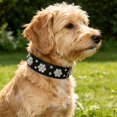 thumbnail image 4 of YUELONGHU Collar for and Cats Adjustable Comfortable Walking Training Neck Strap, 4 of 5