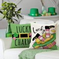 thumbnail image 4 of St Patricks Day Lucky Charms Decorative Throw Pillow Covers 18 x 18 Set of 4, Pink Shamrock Clover Leprechaun Top Hat Outdoor Pillowcase, Spring Irish Pinch Me Sofa Cushion Case Home Decor, 4 of 6