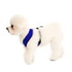 thumbnail image 3 of Arnés para perros Gooby Comfort X azul para perros pequeños, 3 of 5