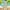 Green, variant on Sakmal Green Summer Dresses for Women Clearance Under $10 Crew Neck Long Short Sleeve Flowy Floral Loose Fit A-Line Dress