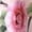 Pink, variant on AURA Womens Plus Size Off Shoulder Floral Maxi Dress Summer Casual Loose A Line Beach Dress Bigsize