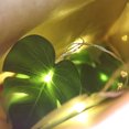 thumbnail image 4 of Cadena de luces LED con forma de hoja de tortuga con simulación de luces decorativas para el día de Acción de Gracias, luces para exteriores con batería, 4 of 5