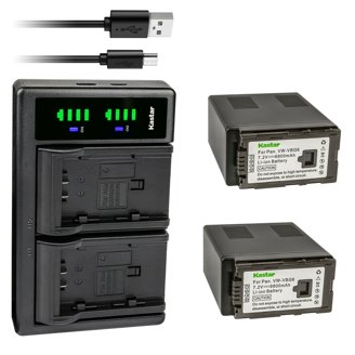 Kastar 2-Pack DMW-BMB9 Battery & USB Charger For Panasonic Lumix FZ Series Cameras (FZ70, FZ80, FZ100, Etc.)