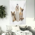 thumbnail image 3 of Puppy Tapestry, Chihuahua and Maltese Breed Dogs Look Same Direction on Plain Backdrop, Wall Hanging for Bedroom Living Room Dorm Decor, 40"W X 60"L, Pale Brown Pale Tan White, by Ambesonne, 3 of 5