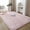 Pink, variant on YouLoveIt Rectangle Plush Area Rug, 5x8ft Ultra Soft Carpet Fluffy Rug Plush Area Rug Faux Fur Non-Slip Floor Mat Carpet Long for Bedroom, Living Room, 152x243cm