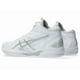 thumbnail image 3 of Asics GELHOOP V16 1063A078 100 White/Pure Silver Men's Women's Basketball Shoes, 3 of 5