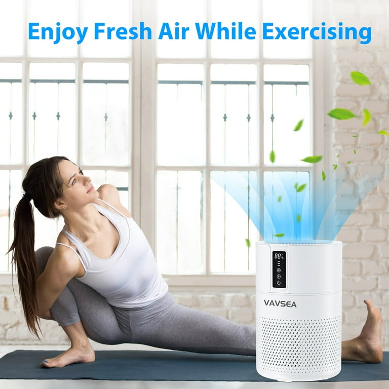 VAVSEA Air Purifier, HEPA Air Filter for Home Large Room up to 600