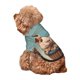 thumbnail image 5 of Fotbe Hot Air Balloon Guinea Pig Sudadera con Estampado para Perros Pequeños – Suéter con Capucha para Mascotas, Tela Suave de Forro Polar con Bolsillo-X-Large, 5 of 7