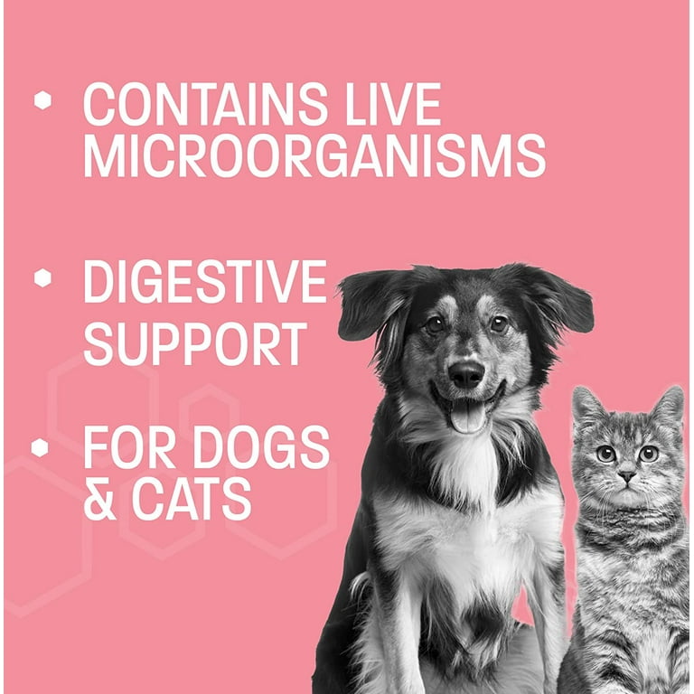 Probiotic paste for hotsell dogs with diarrhea