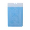 thumbnail image 1 of Nevera portátil para viajes de camping y picnics, con capacidad para 1000 ml, incluye paquete de hielo reutilizable, 1 of 8