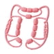 thumbnail image 1 of Rodillo para piernas, masajeador manual para hombros y pantorrillas, masajeador de muslos rosa, 1 of 9