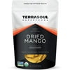 Terrasoul Superfoods Organic Dried Mango Slices, 1 Lb - Naturally Sweet & Tart | No-Added Sugar | Healthy Prebiotic