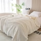 thumbnail image 4 of Manta De Franela Polar, Suave Manta De Terciopelo, Color Liso, Decoración Para El Hogar, Cubrecama Multiusos, Ideal Para Relajarse En El Sofá, Como Funda Para La Cama O Para Una Siesta De Lectura., 4 of 9