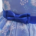 thumbnail image 4 of Toddler Girl Dresses Formal Dresses for Girls Blue Dress Girls Birthday Dress Girls Easter Dresses for Toddler Girls 18-24 Months, 4 of 4