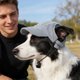thumbnail image 5 of Dog Hat Corduroy Pet Cap Adjustable Baseball Hat For Small Dogs Cats Summer Sun Protection Pet Cute Puppy Accessory Breathable Cap L, 5 of 7