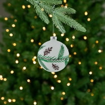 Northlight Glittered Glass Ball Christmas Ornaments with Pine Cones - 4" (100mm) - 4ct