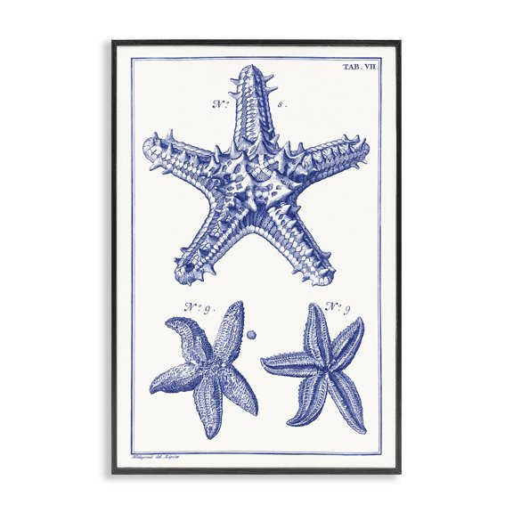 Stupell Industries Blue Starfish Diagrams Animals & Insects Painting Black Framed Art Print Wall Art, 16 x 24