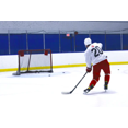 thumbnail image 3 of Aegis Hockey Net Targets, 3 of 4