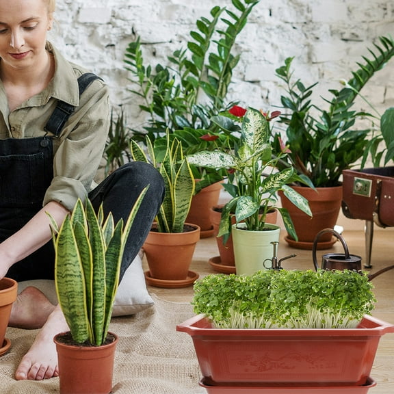 LEXSOMEO 5 Sets of Classical Bonsai Pot Garden Use Large Size Flowerpot Bonsai Cultivation Pot with Tray