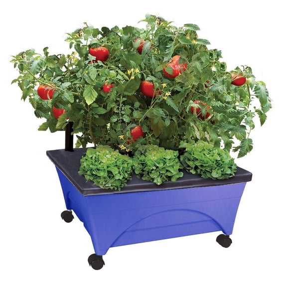 EMSCO Group- City Picker Raised Bed Grow Box – Self Watering and Improved Aeration – Mobile Unit with Casters - Cobalt Blue