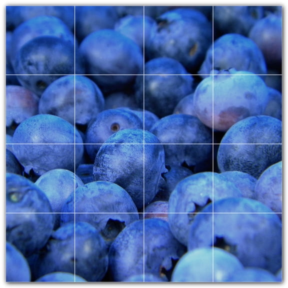 Picture-Tiles.com: Fruit Ceramic Tile Wall Mural WAL500677-44S. 17"W x 17"H using (16) 4.25" x 4.25" Ceramic Tiles-Satin Finish