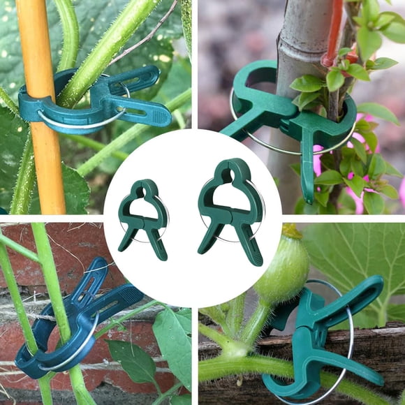 WIFKLSIIPG Clips Sécurisés Clips de Support pour Grimper Clips de Fixation Clips pour Tomates pour Ficelle