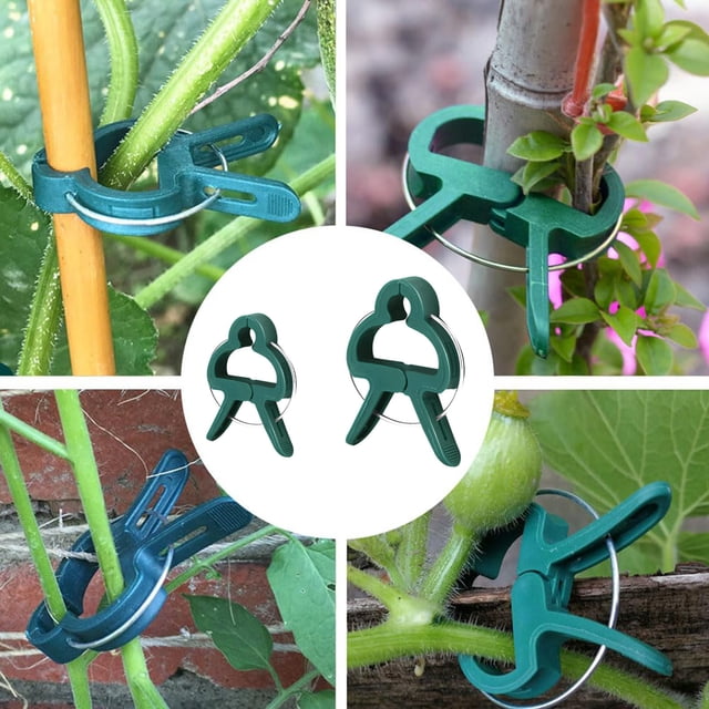 WIFKLSIIPG Secured Clips Support Clips Clips for Climbing Fixing Clips Tomato Clips for String
