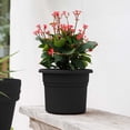 thumbnail image 2 of Bloem Posy 8" Round Resin Planter, UV-Resistant Indoor and Outdoor Pot, Black, 2 of 5