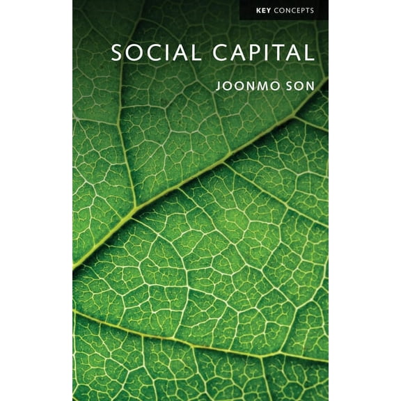 Key Concepts: Social Capital (Paperback)