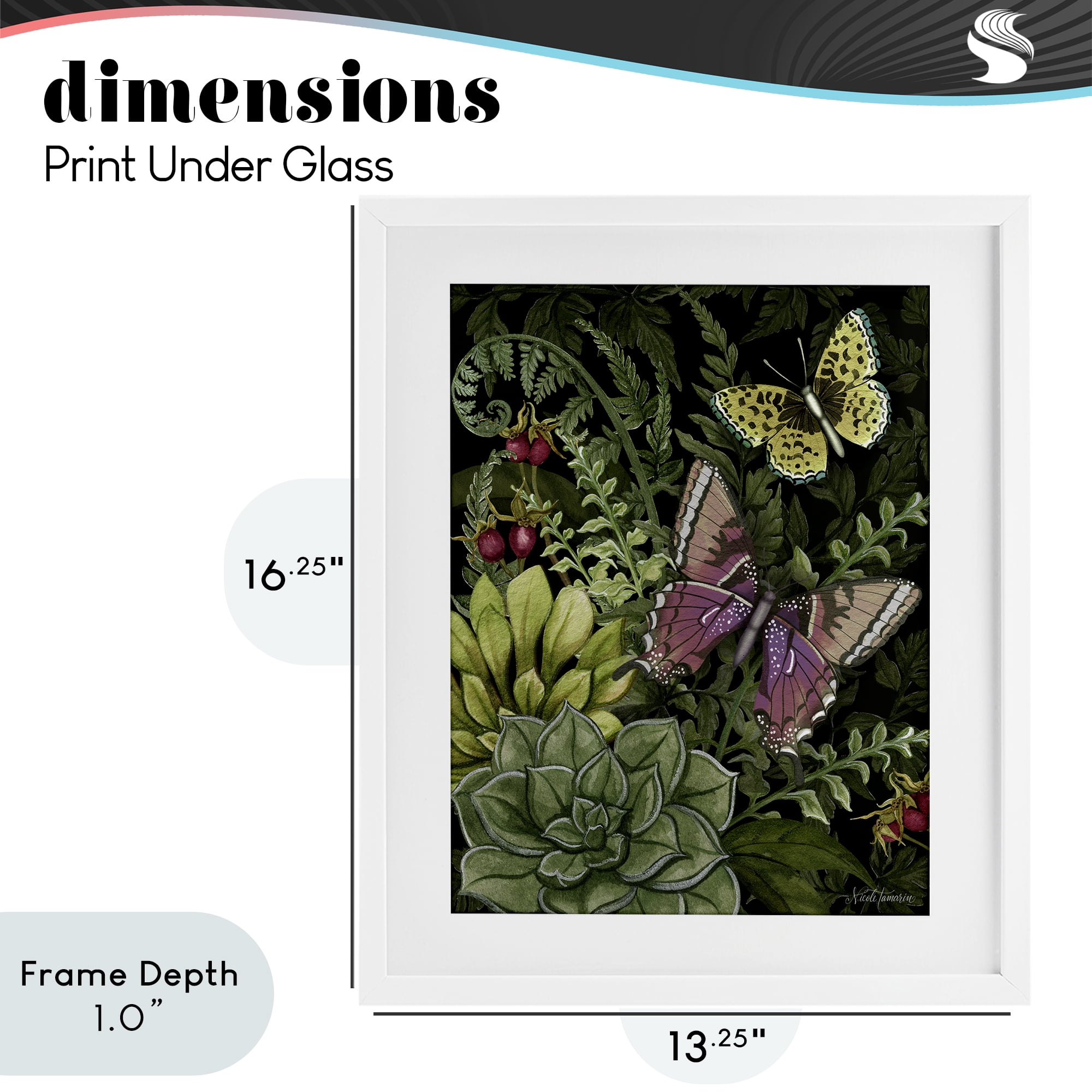 Stupell Industries Dark Succulents Midnight Garden White Framed Print Under Glass, design by Nicole Tamarin
