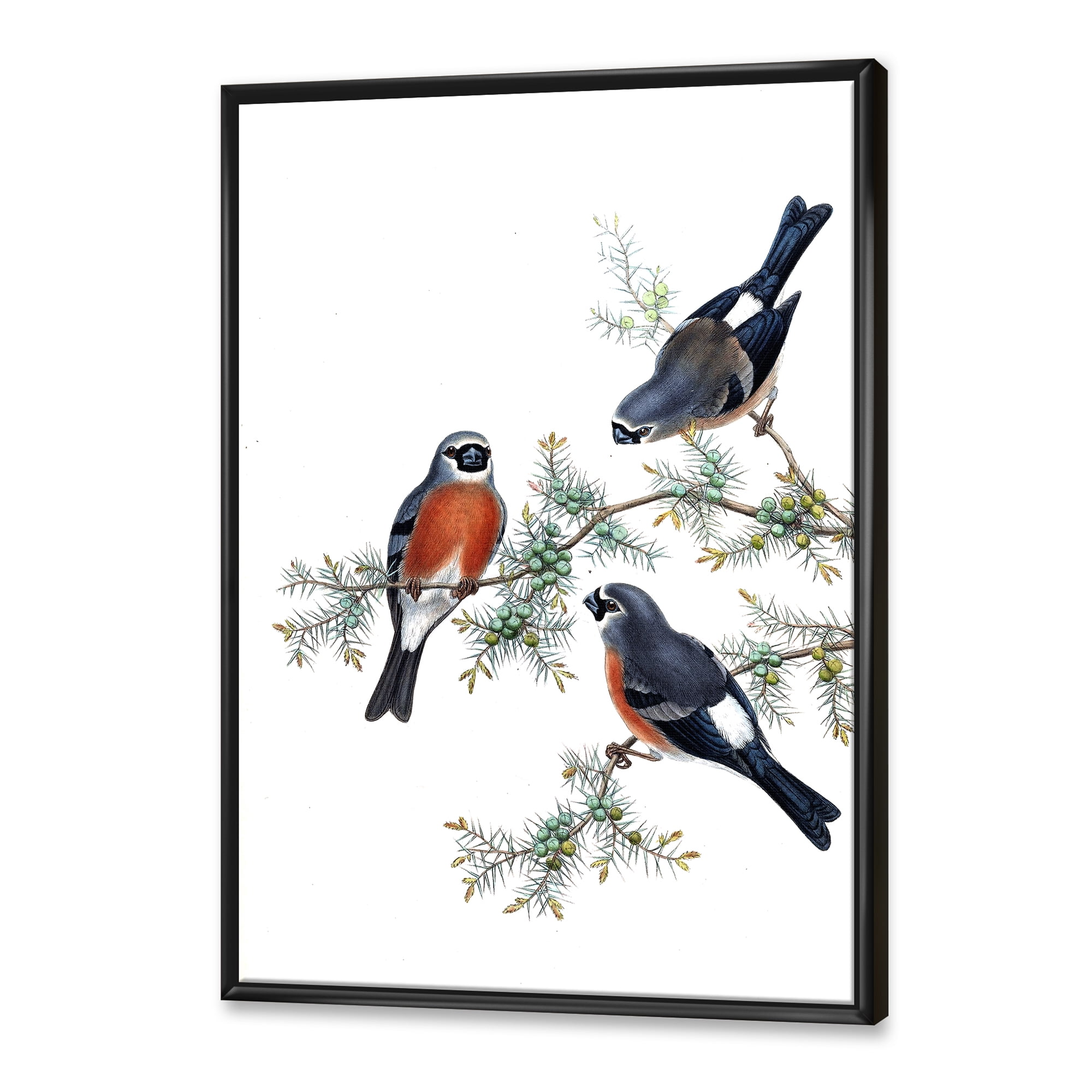 Designart 'Vintage Countryside Birds On Branch III' Farmhouse Framed Canvas Wall Art Print