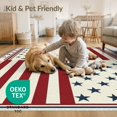 thumbnail image 4 of ODIKA 2'x3' Washable Throw Rug July Crisp Door Frame Stars Stripe Balance Traditional Patriotic for Hallway, Study Room, Non-Slip Low Profile, Flatwoven, 4 of 7