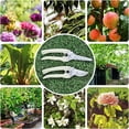 thumbnail image 4 of Garden Shears - Premium Pruning Scissors for Flowers, Bushes, Roses, and Fruit Trees. Ideal for Florists, Yards, and Orchards., 4 of 4
