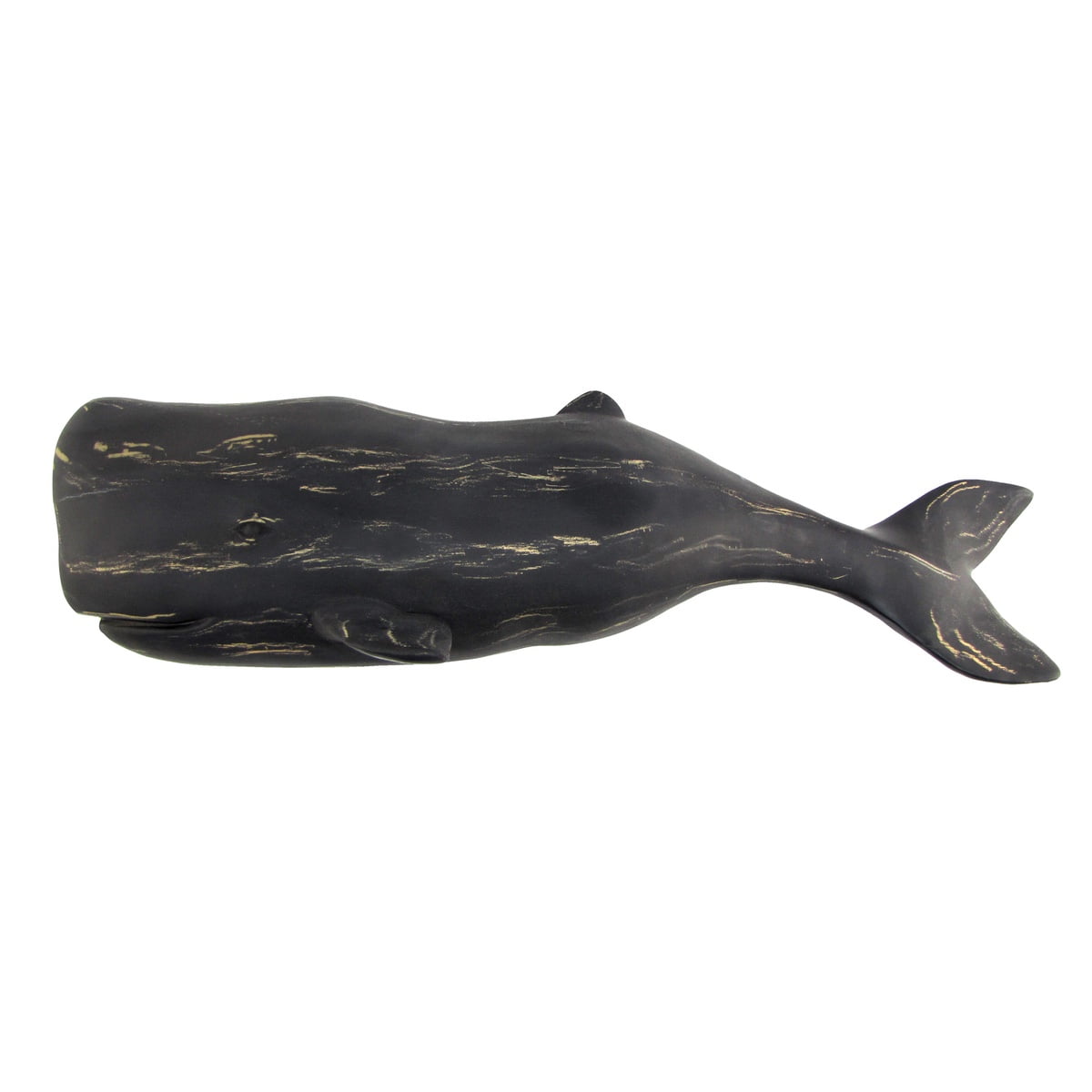 sperm whale 3d Illustrated position position sexual sexual