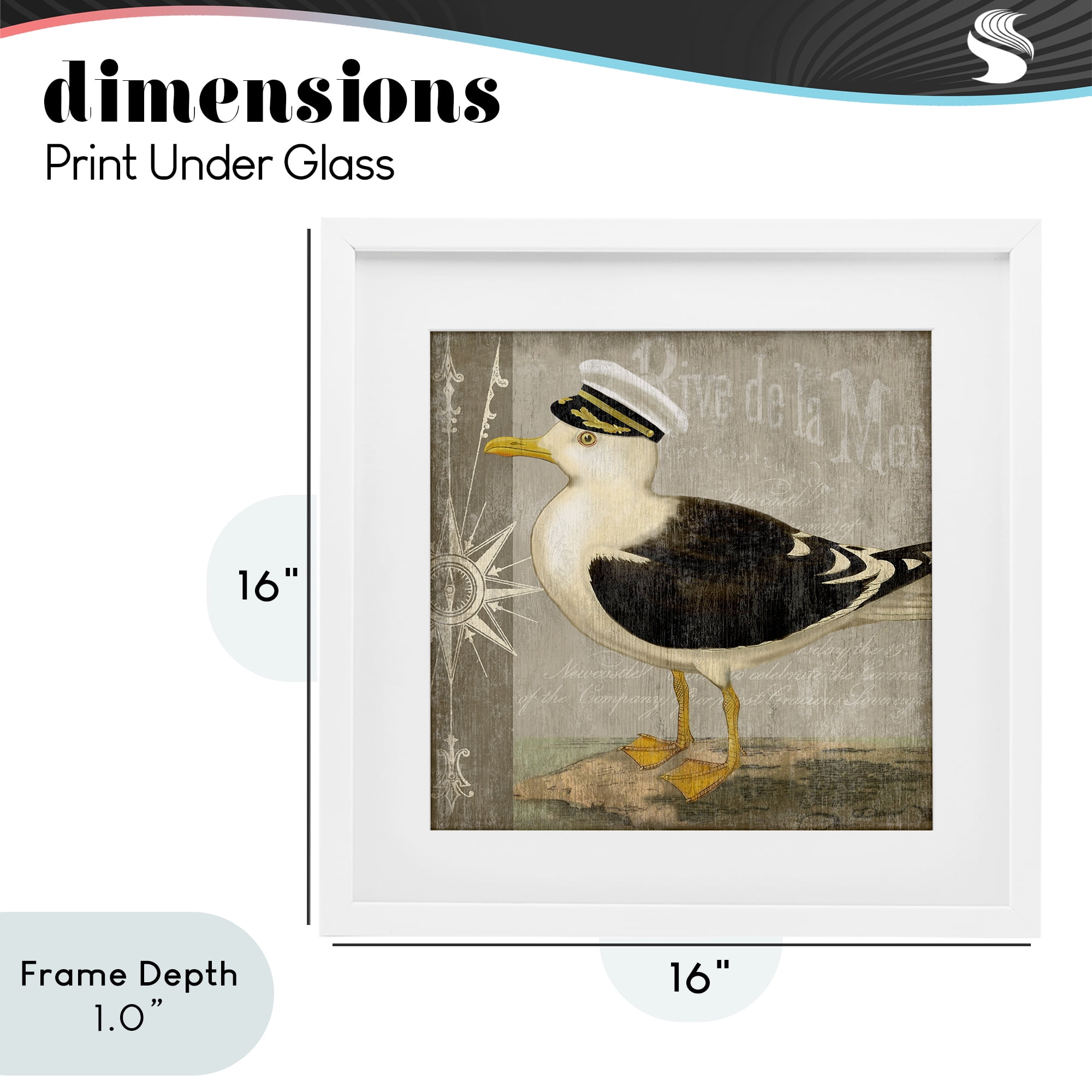 Stupell Industries Little Maritime Seagull White Framed Print Under Glass, design by Suzanne Nicoll