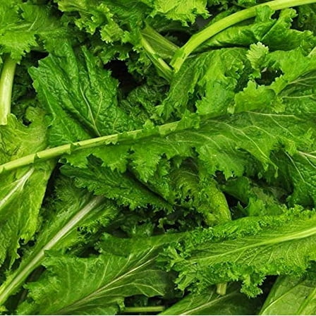 Old Fashioned Mustard Green Seeds - 100 Seed Pack - A Delicious Southern Favorite That is Easy to Grow - Country Creek LLC