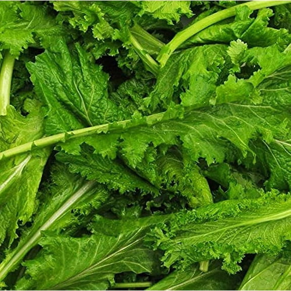 Old Fashioned Mustard Green Seeds - 500 Seed Pack - A Delicious Southern Favorite That is Easy to Grow - Country Creek LLC