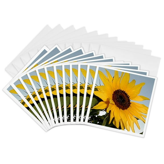 3dRose, Sunflower, 12 Greeting Cards with envelopes