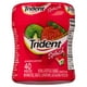 Trident Splash Sugar Free Gum, Strawberry with Lime Flavour, 1 Go-Cup (40 Pieces Total), 40 count - image 2 of 8